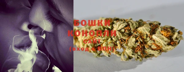 шишки Горно-Алтайск