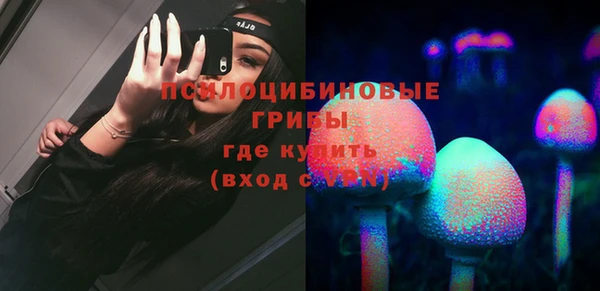 молекула духа Горнозаводск