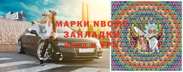 шишки Горно-Алтайск