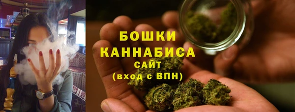 шишки Горно-Алтайск