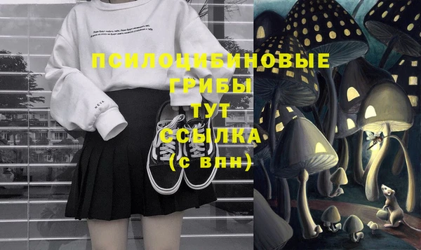молекула духа Горнозаводск