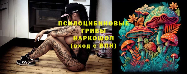 молекула духа Горнозаводск