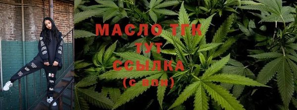 шишки Горно-Алтайск