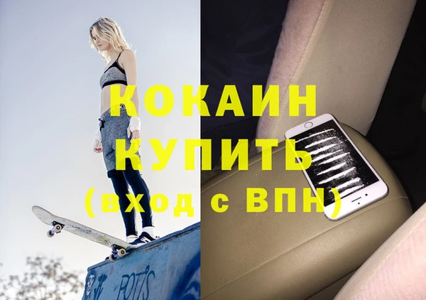 шишки Горно-Алтайск
