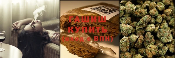 шишки Горно-Алтайск