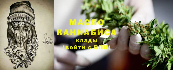молекула духа Горнозаводск