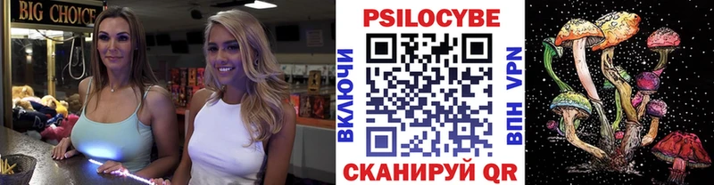 Псилоцибиновые грибы мицелий Моршанск