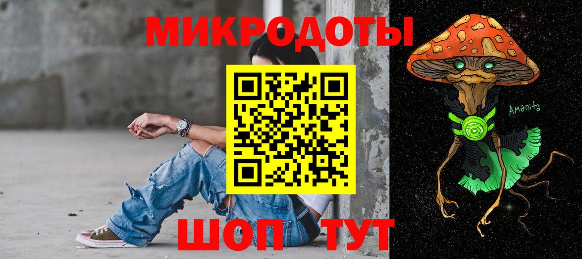 Псилоцибиновые грибы мухоморы Моршанск