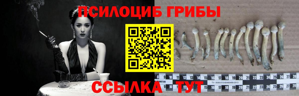 Галлюциногенные грибы Magic Shrooms  Вход с VPN  даркнет сайт  Моршанск  Псилоцибиновые грибы GOLDEN TEACHER 